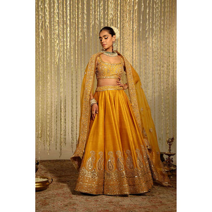 Sheetal Batra Amna Lehenga & Blouse with Dupatta-Mustard (Set of 3)