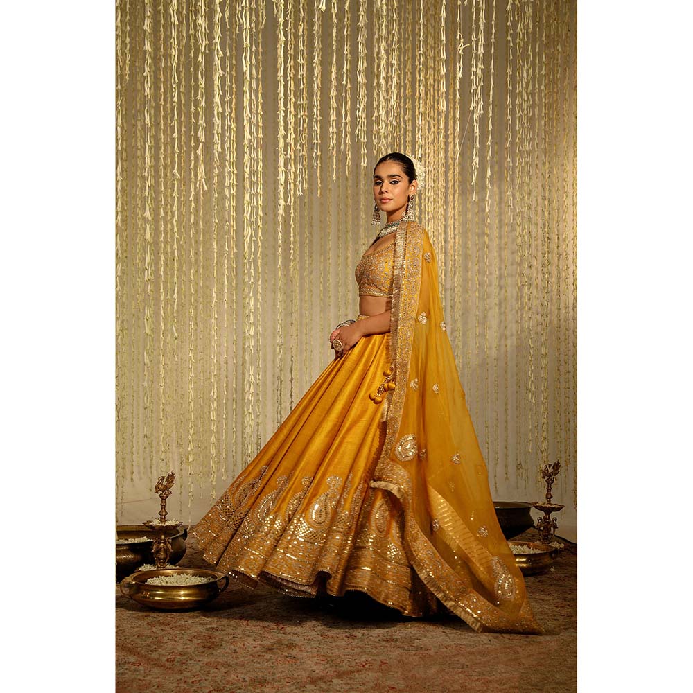 Sheetal Batra Amna Lehenga & Blouse with Dupatta-Mustard (Set of 3)