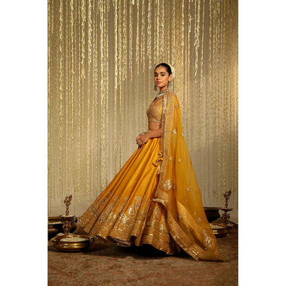 Sheetal Batra Amna Lehenga & Blouse with Dupatta-Mustard (Set of 3)