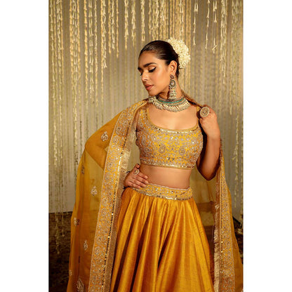 Sheetal Batra Amna Lehenga & Blouse with Dupatta-Mustard (Set of 3)