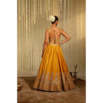 Sheetal Batra Amna Lehenga & Blouse with Dupatta-Mustard (Set of 3)