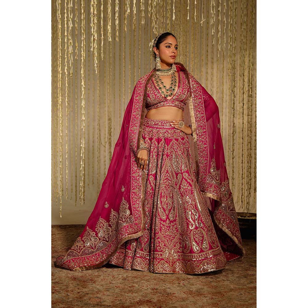 Sheetal Batra Amirah Lehenga & Blouse with Dupatta-Pink (Set of 3)