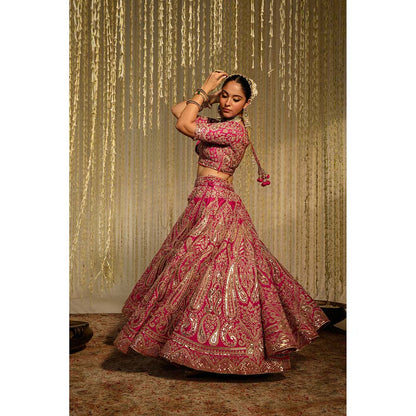 Sheetal Batra Amirah Lehenga & Blouse with Dupatta-Pink (Set of 3)
