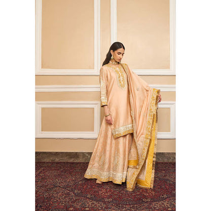Sheetal Batra Beige Kurta With Sharara And Dupatta (Set of 3)