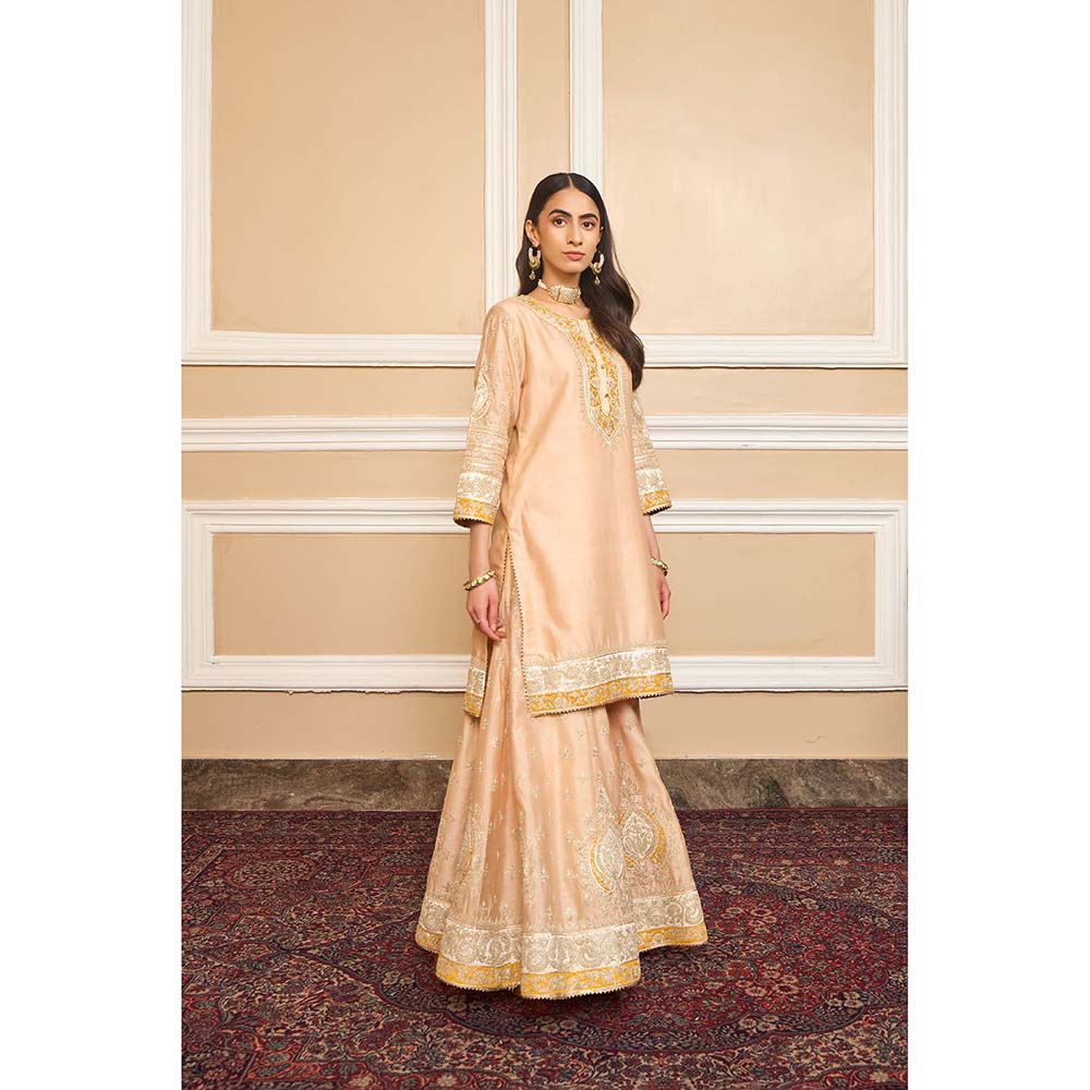 Sheetal Batra Beige Kurta With Sharara And Dupatta (Set of 3)