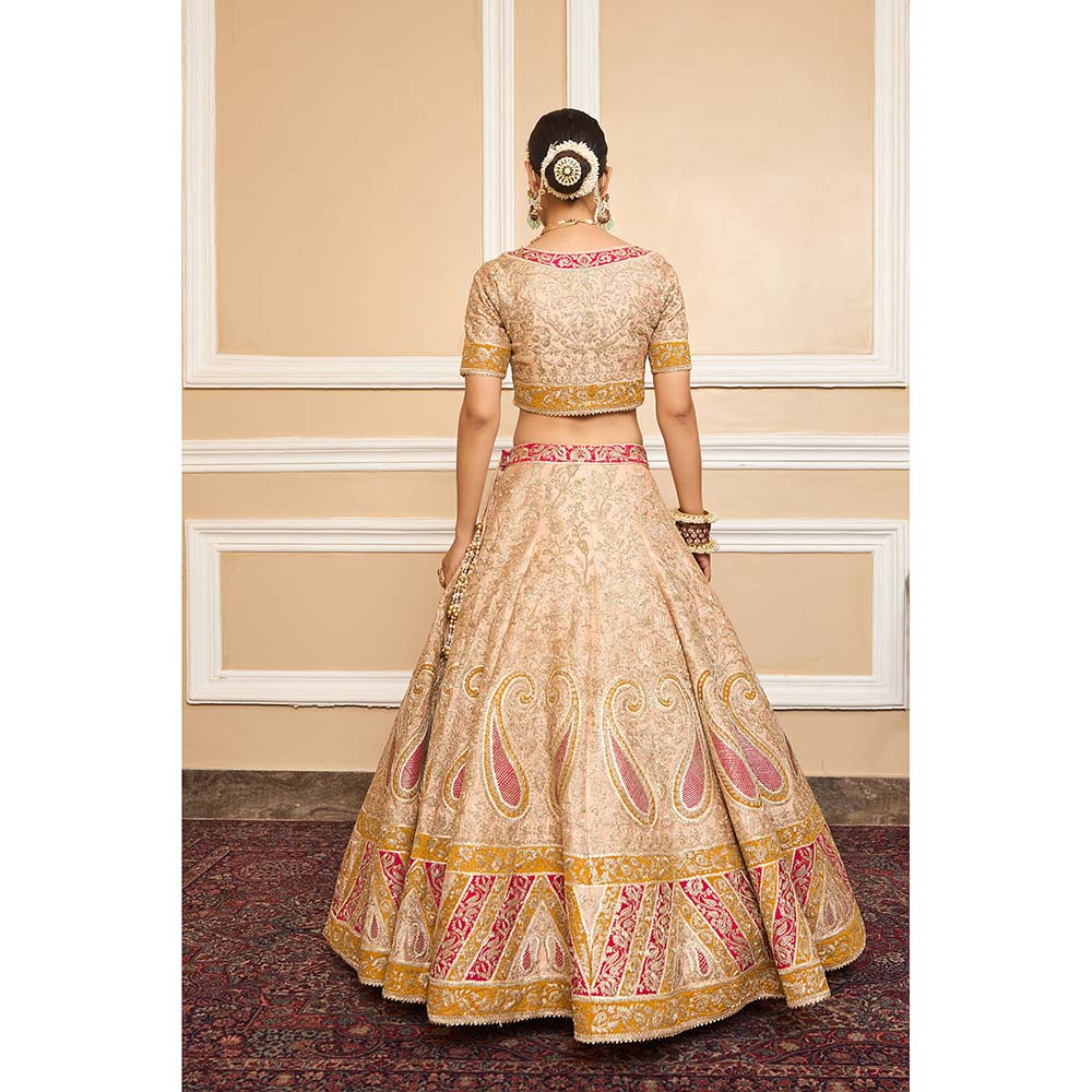 Sheetal Batra Multicolour Lehenga With Blouse And Dupatta (Set of 3)