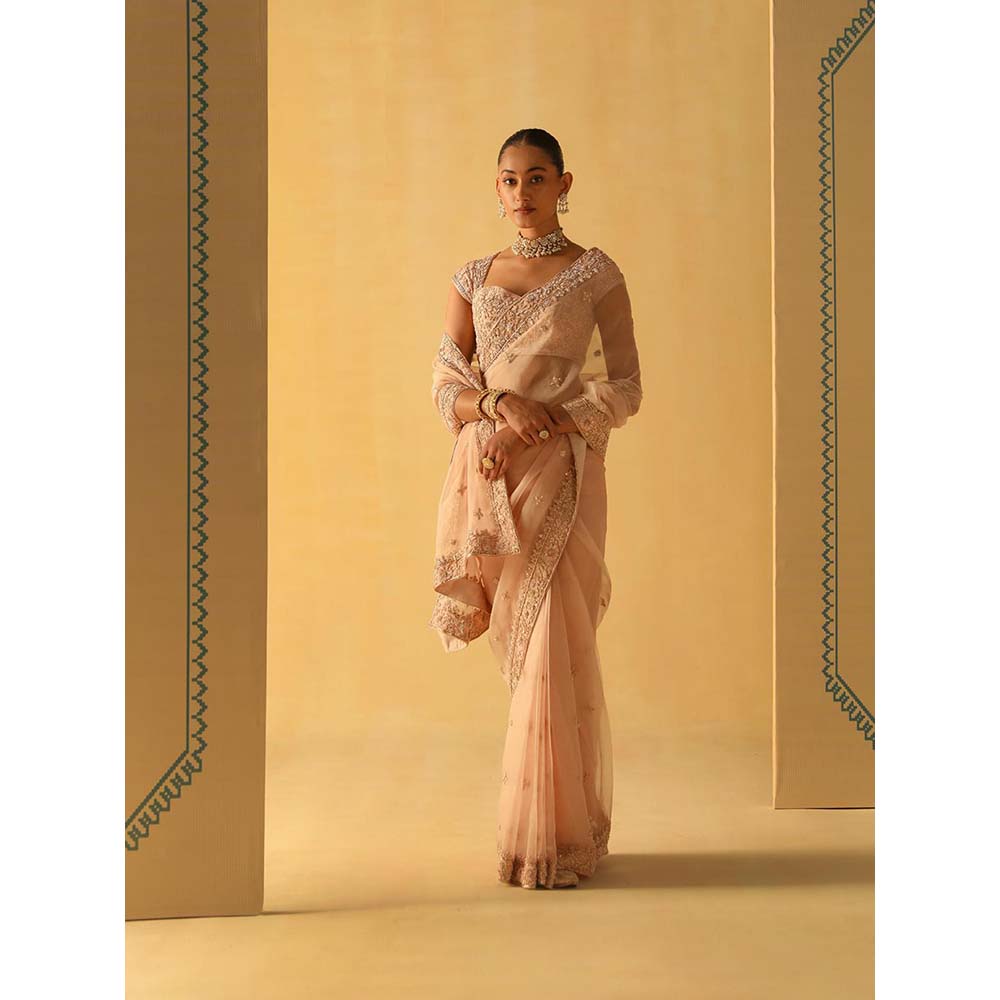 Sheetal Batra Maliha Rose Pink Embellished Saree with Stitched Blouse