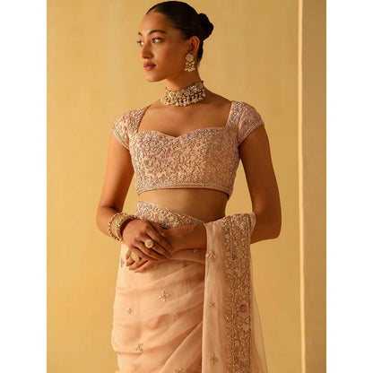 Sheetal Batra Maliha Rose Pink Embellished Saree with Stitched Blouse