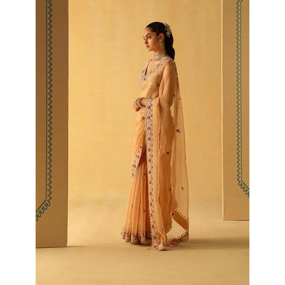 Sheetal Batra Hannah Beige Embellished Saree with Stitched Blouse