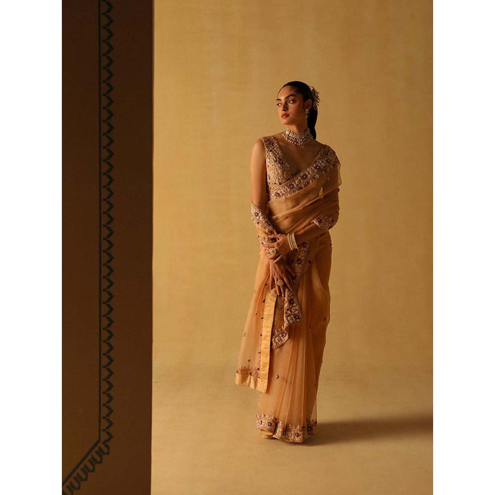 Sheetal Batra Hannah Beige Embellished Saree with Stitched Blouse