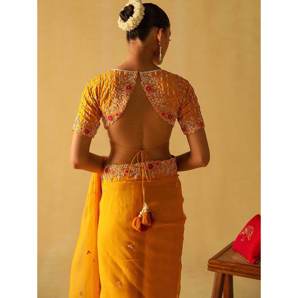 Sheetal Batra Afsa Mustard Embellished Saree with Stitched Blouse