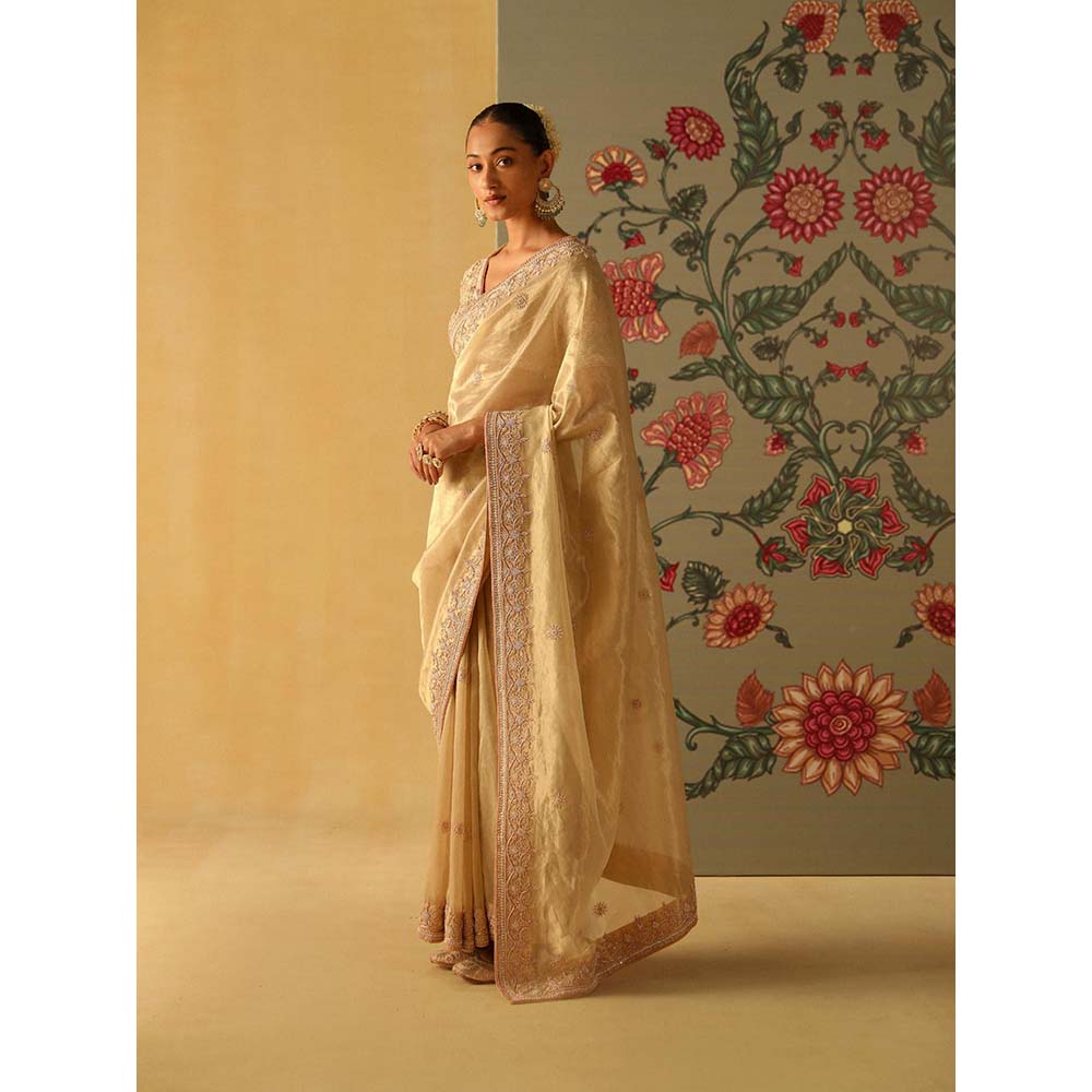 Sheetal Batra Saraa Beige Embellished Saree with Stitched Blouse