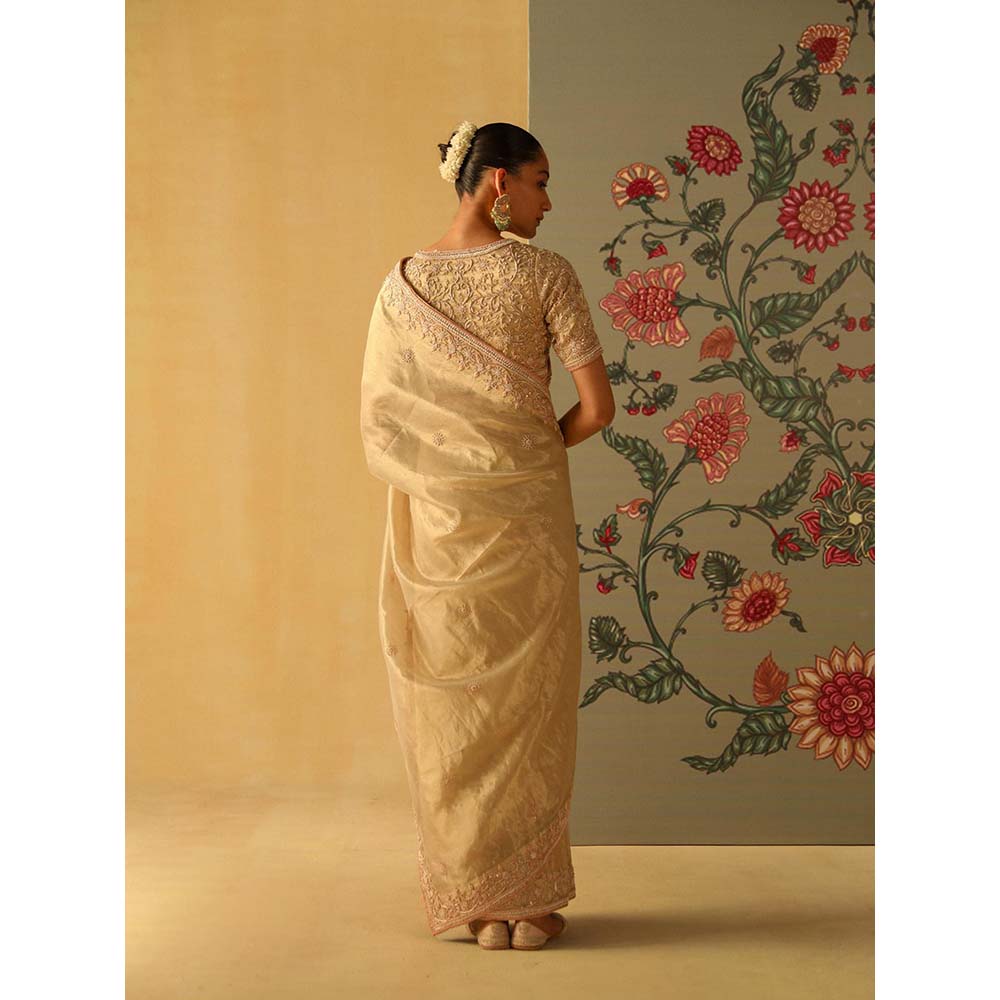 Sheetal Batra Saraa Beige Embellished Saree with Stitched Blouse