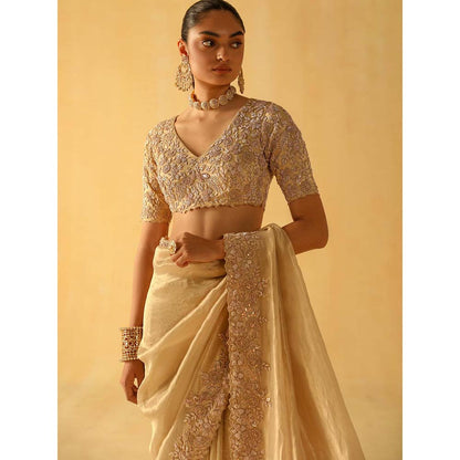 Sheetal Batra Maheen Beige Embellished Saree with Stitched Blouse