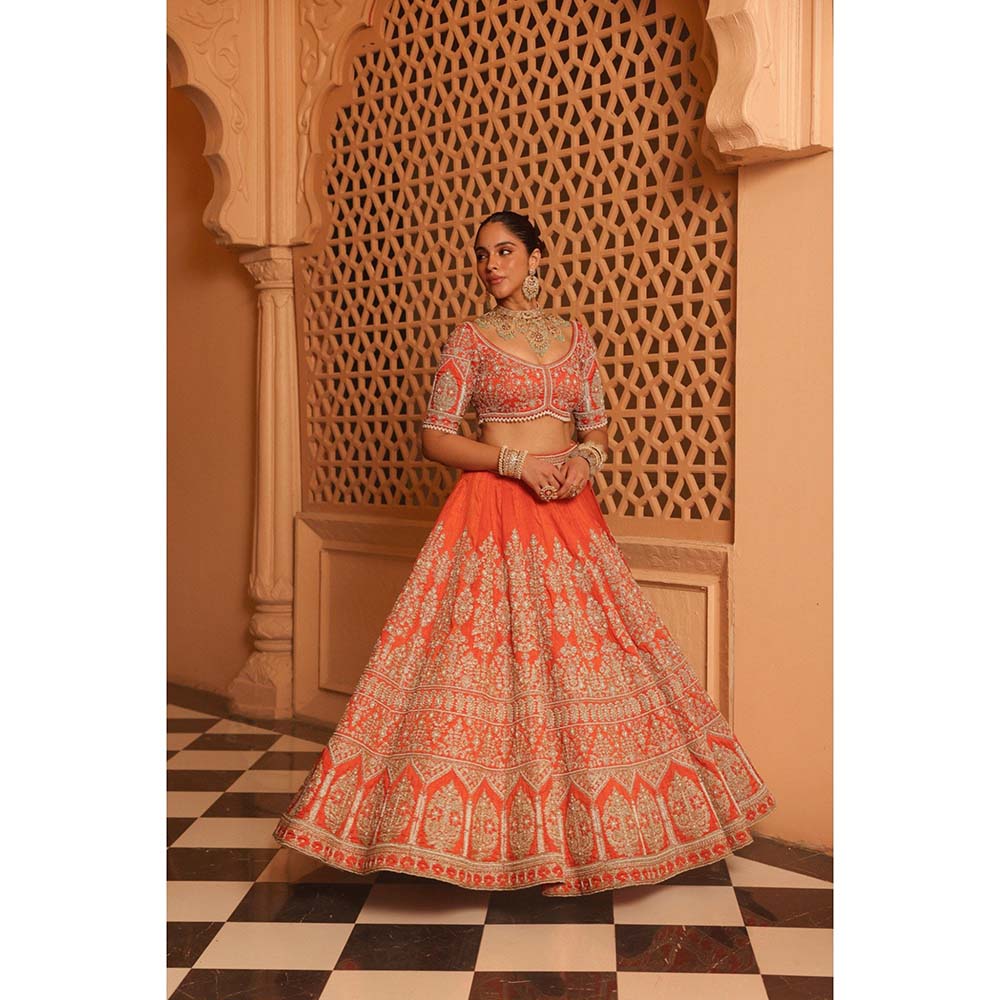Sheetal Batra Faizah Orange Lehenga with Blouse and Dupatta (Set of 3)
