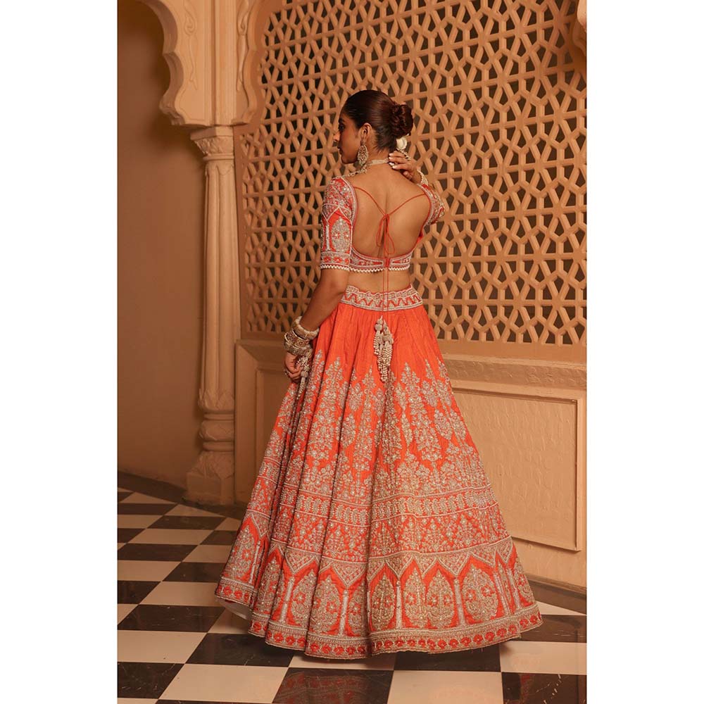 Sheetal Batra Faizah Orange Lehenga with Blouse and Dupatta (Set of 3)