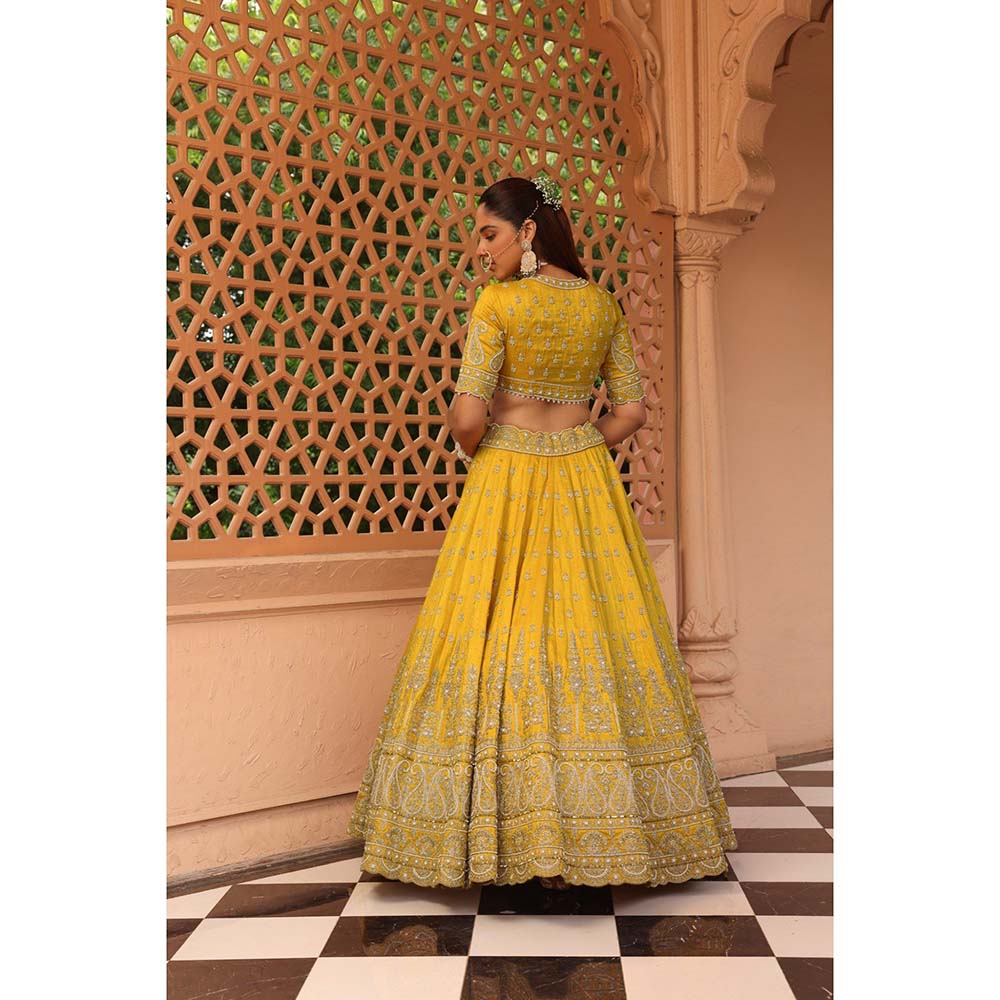 Sheetal Batra Uzma Yellow Lehenga with Blouse and Dupatta (Set of 3)