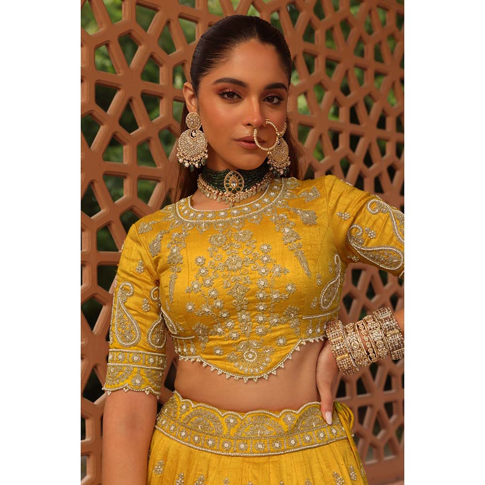 Sheetal Batra Uzma Yellow Lehenga with Blouse and Dupatta (Set of 3)