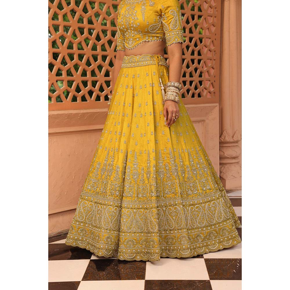 Sheetal Batra Uzma Yellow Lehenga with Blouse and Dupatta (Set of 3)