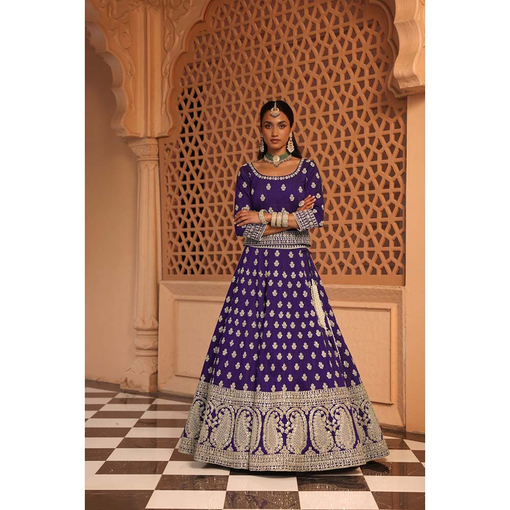 Sheetal Batra Aasmaa Purple Lehenga with Choli and Dupatta (Set of 3)
