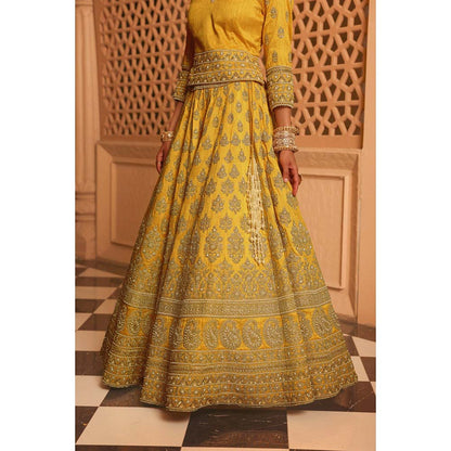 Sheetal Batra Noorali Yellow Lehenga with Choli and Dupatta (Set of 3)