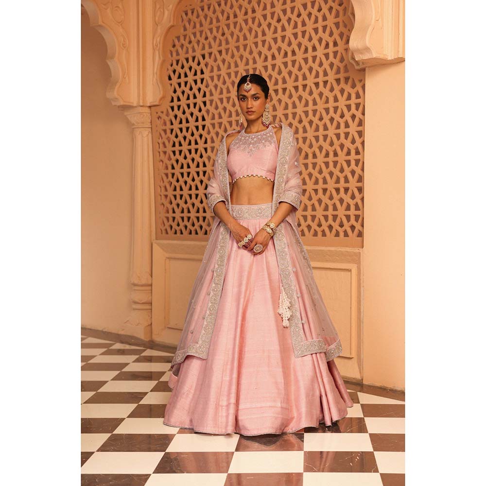Sheetal Batra Humeyra Rose Pink Lehenga with Blouse and Dupatta (Set of 3)