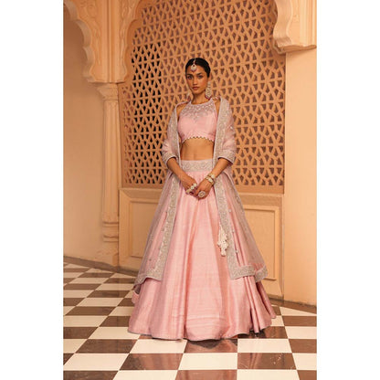 Sheetal Batra Humeyra Rose Pink Lehenga with Blouse and Dupatta (Set of 3)