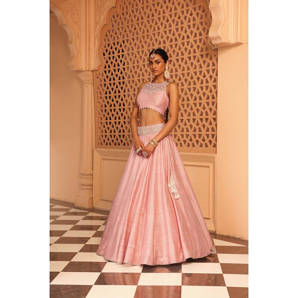 Sheetal Batra Humeyra Rose Pink Lehenga with Blouse and Dupatta (Set of 3)