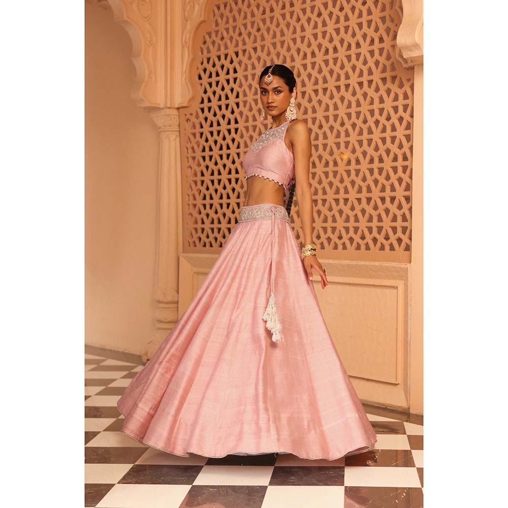 Sheetal Batra Humeyra Rose Pink Lehenga with Blouse and Dupatta (Set of 3)