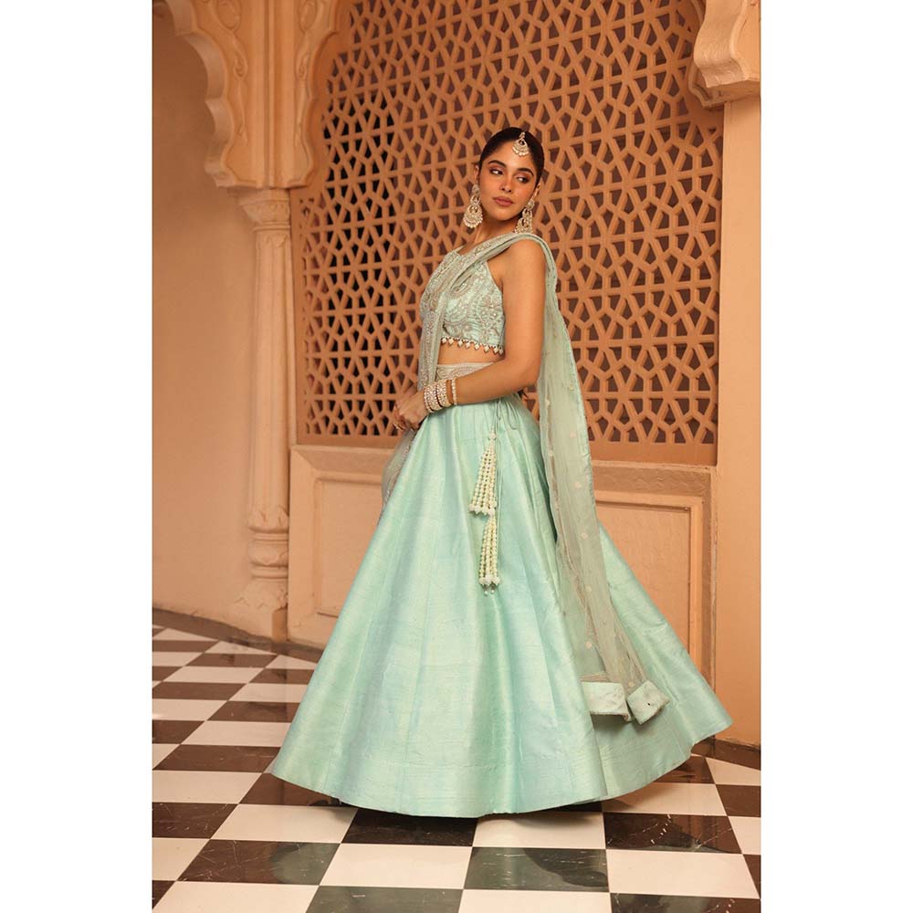 Sheetal Batra Afsa Misty Green Lehenga with Blouse and Dupatta (Set of 3)