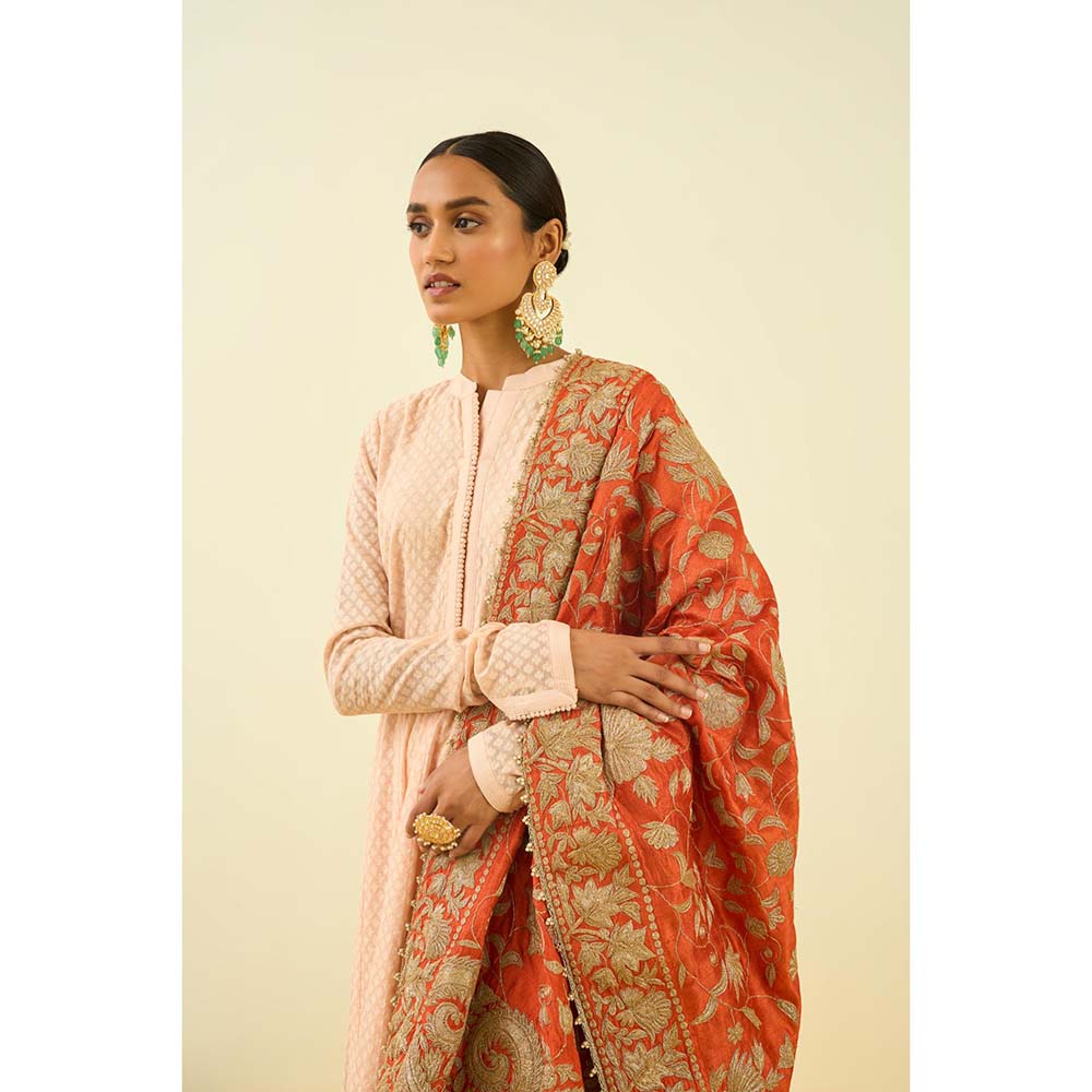 Sheetal Batra Pumpkin Orange Floral Tilla Embroidery Dupatta