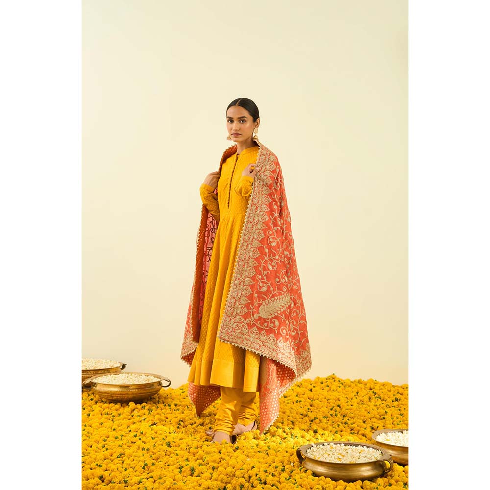 Sheetal Batra Pumpkin Orange Paisley Tilla Embroidery Dupatta