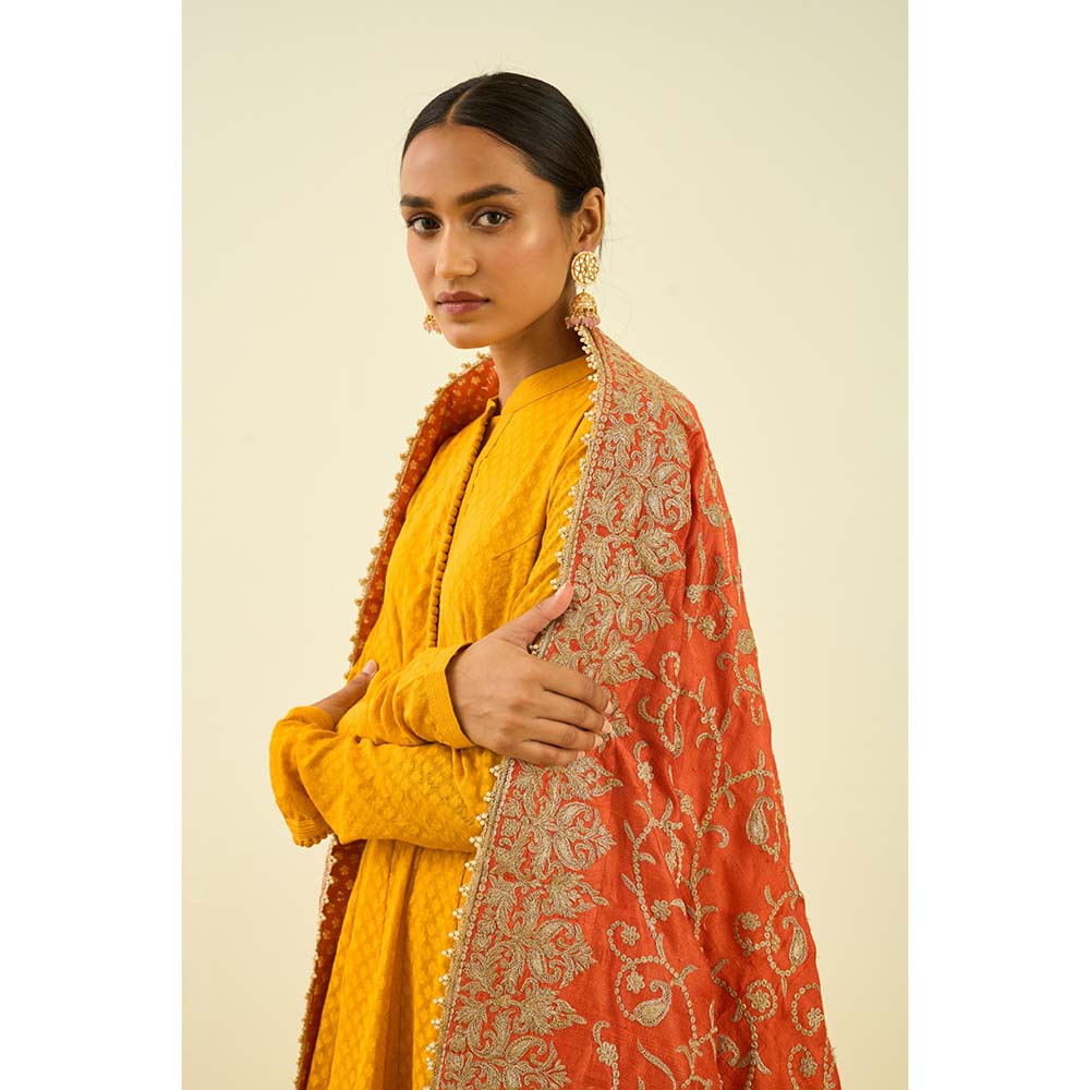 Sheetal Batra Pumpkin Orange Paisley Tilla Embroidery Dupatta