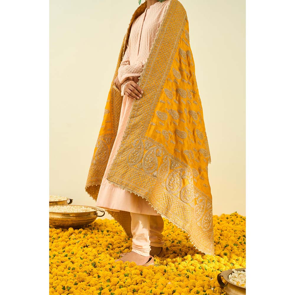 Sheetal Batra Glaze Mustard Paisley Tilla Embroidery Dupatta