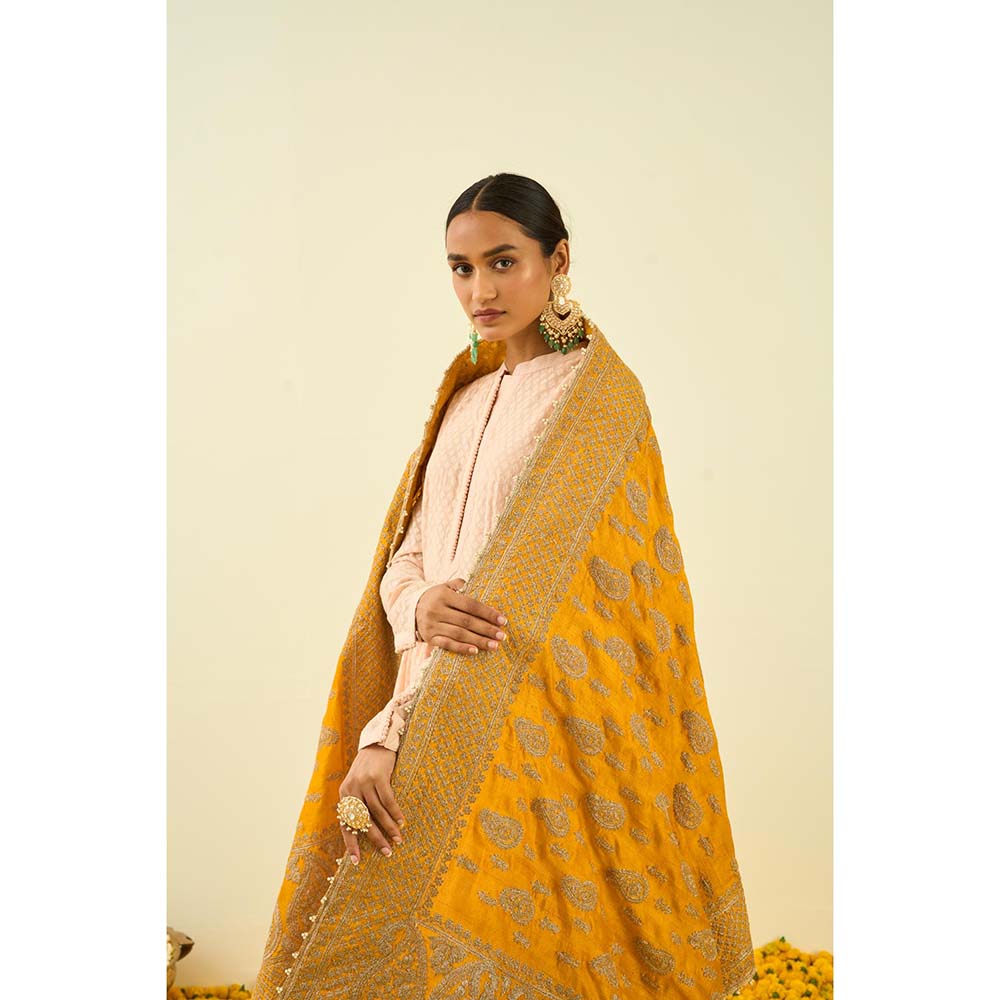 Sheetal Batra Glaze Mustard Paisley Tilla Embroidery Dupatta
