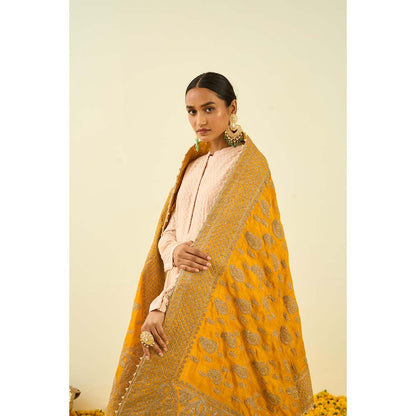 Sheetal Batra Glaze Mustard Paisley Tilla Embroidery Dupatta