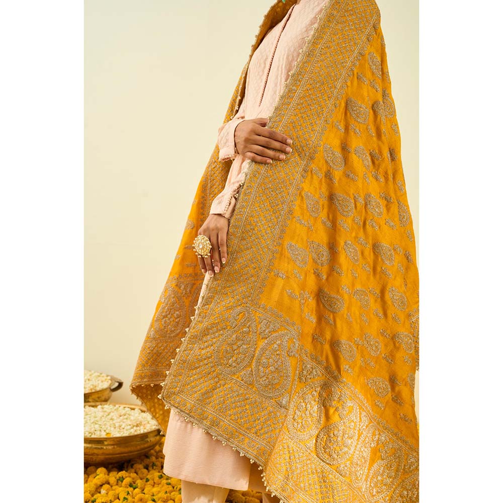 Sheetal Batra Glaze Mustard Paisley Tilla Embroidery Dupatta
