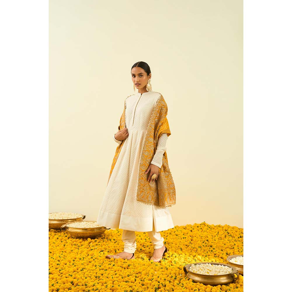 Sheetal Batra Glaze Mustard Tilla Embroidery Dupatta