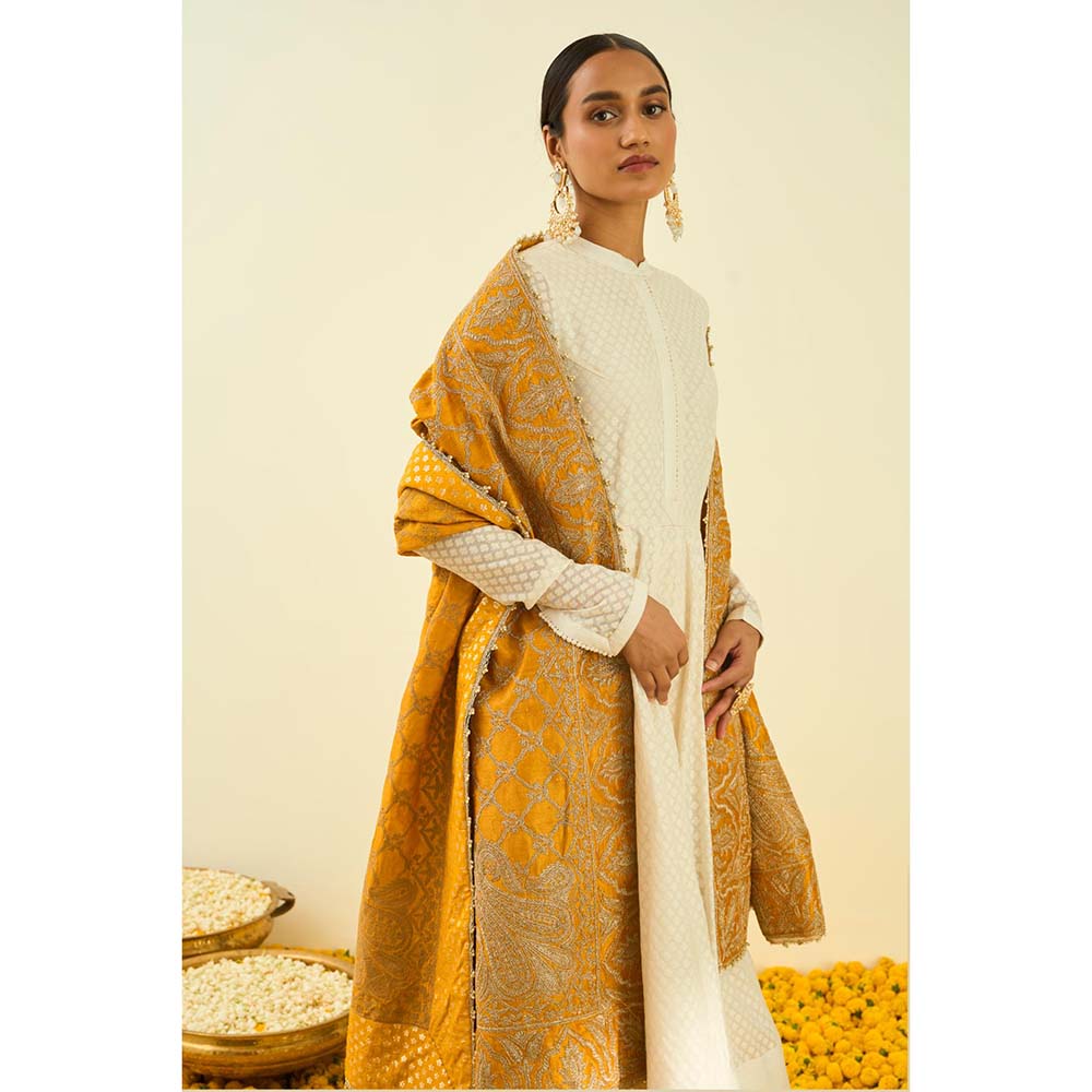 Sheetal Batra Glaze Mustard Tilla Embroidery Dupatta