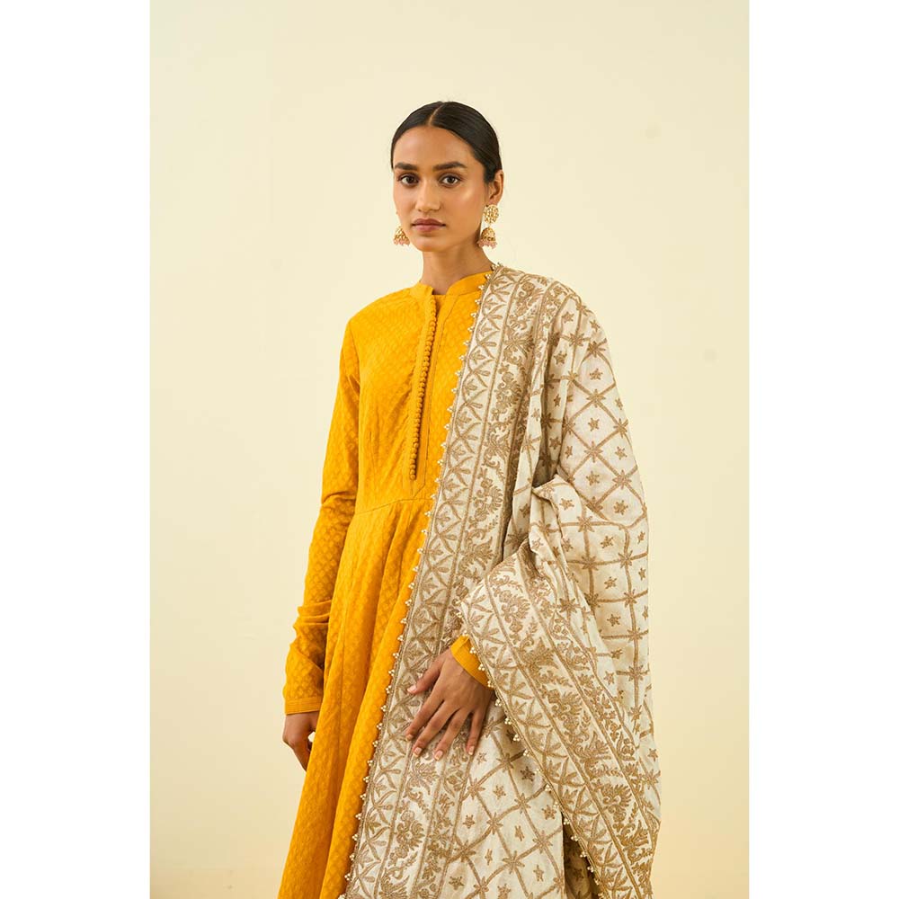 Sheetal Batra Daisy Ivory Tilla Embroidery Dupatta