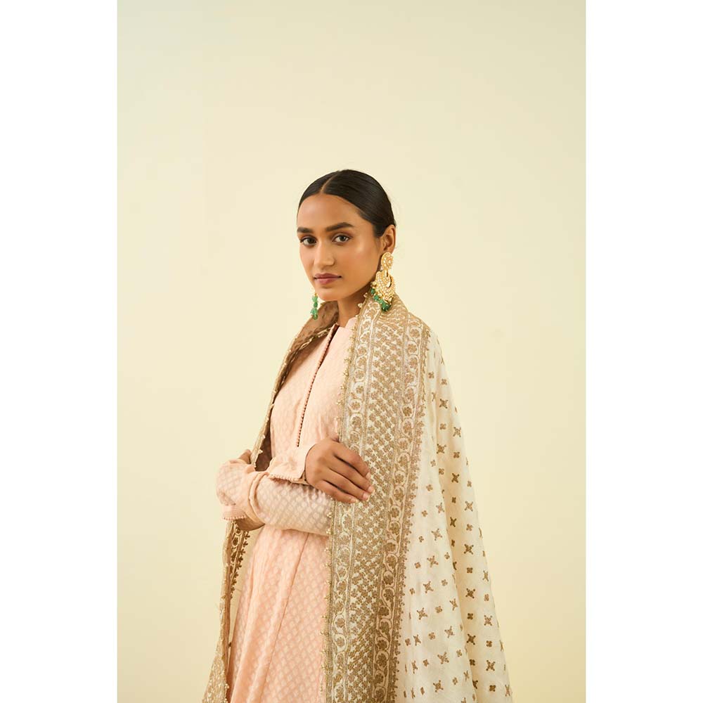 Sheetal Batra Daisy Ivory Tilla Embroidery Dupatta