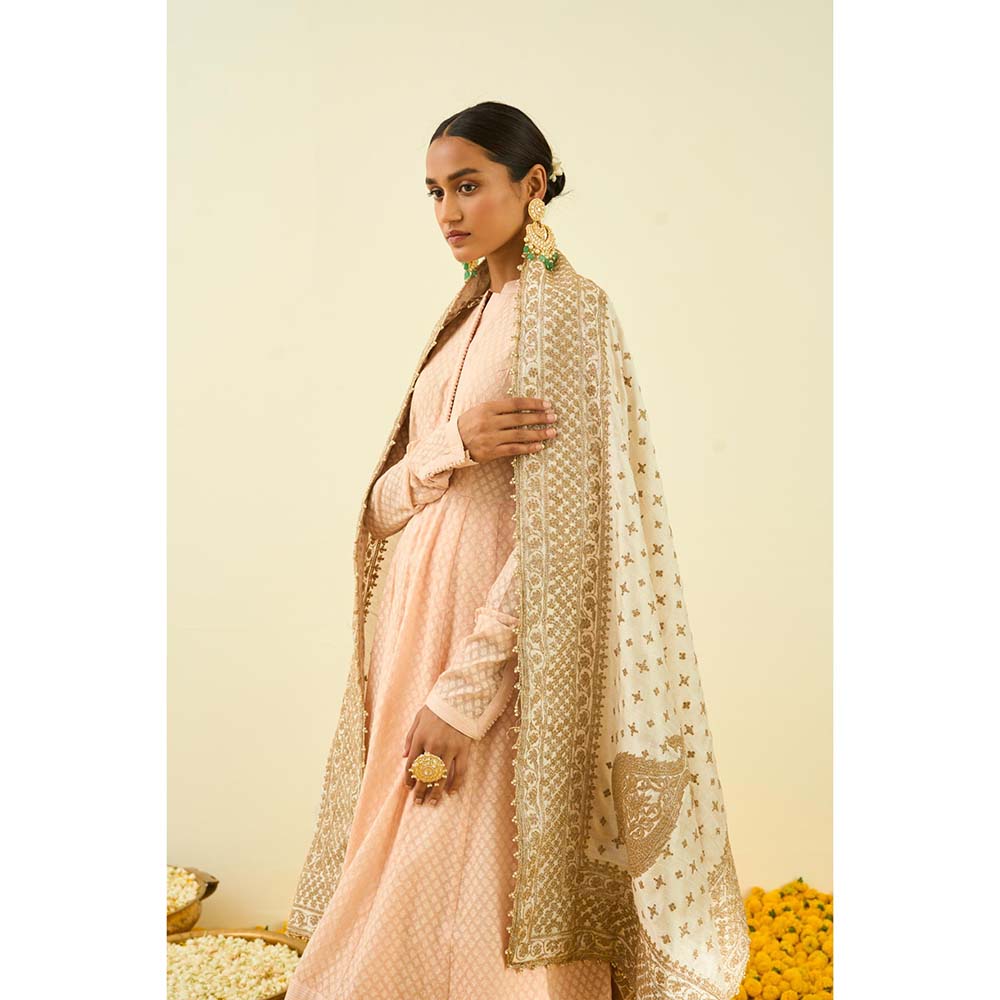 Sheetal Batra Daisy Ivory Tilla Embroidery Dupatta