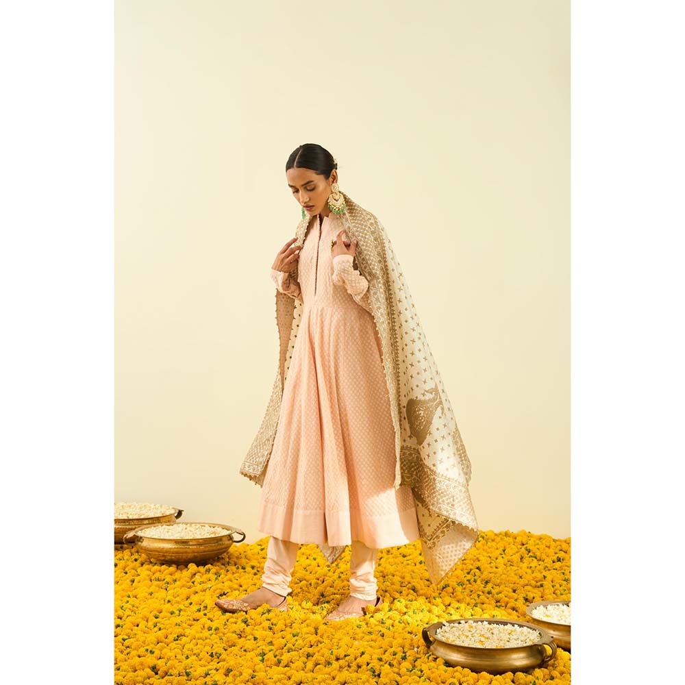 Sheetal Batra Daisy Ivory Tilla Embroidery Dupatta