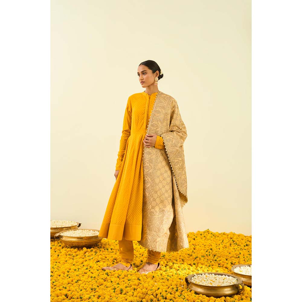 Sheetal Batra Gold Tilla Embroidery Dupatta