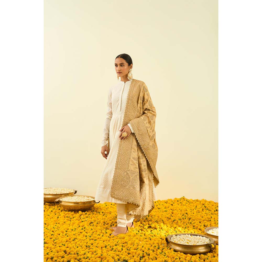 Sheetal Batra Gold Tilla Embroidery Dupatta