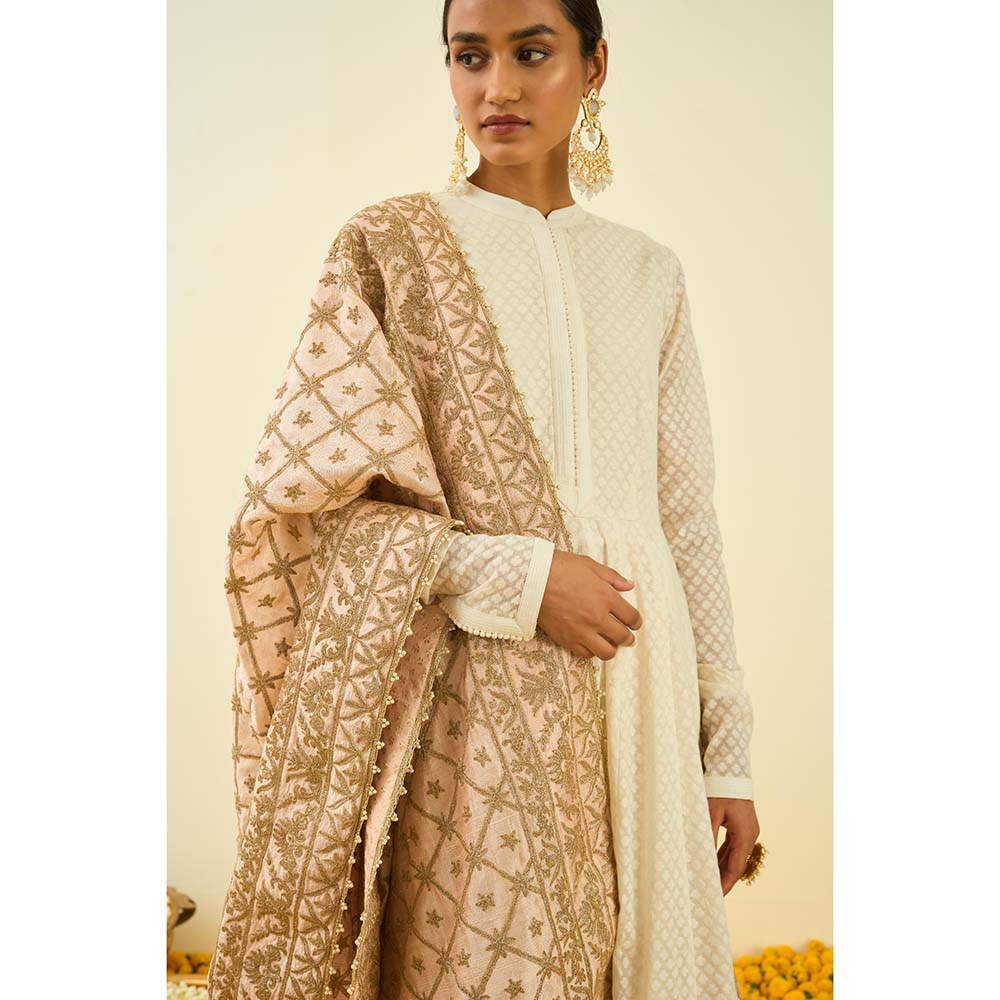 Sheetal Batra Rose Gold Seguidilla Embroidery Dupatta