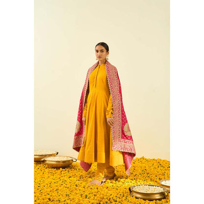 Sheetal Batra Hot Pink Tilla Embroidery Dupatta