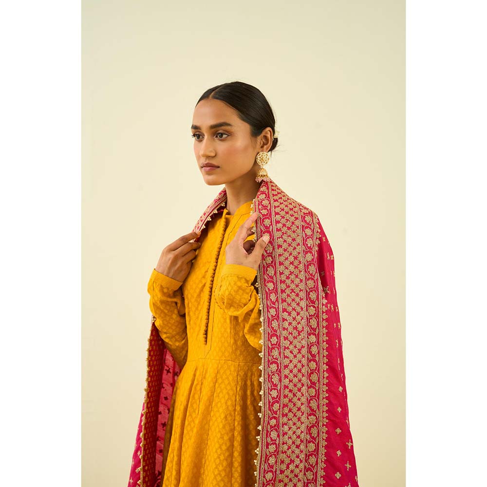 Sheetal Batra Hot Pink Tilla Embroidery Dupatta