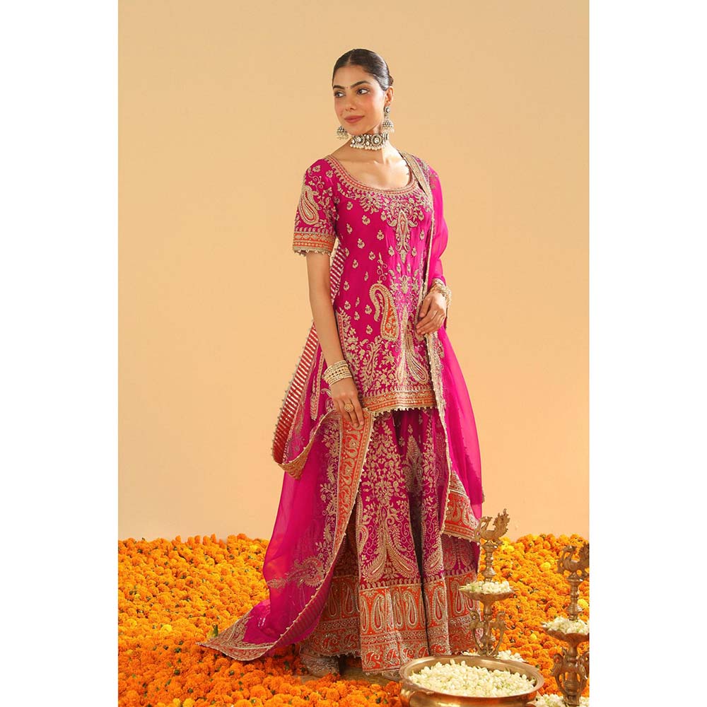 Sheetal Batra Pink Kurti with Sharara and Dupatta (Set of 3)