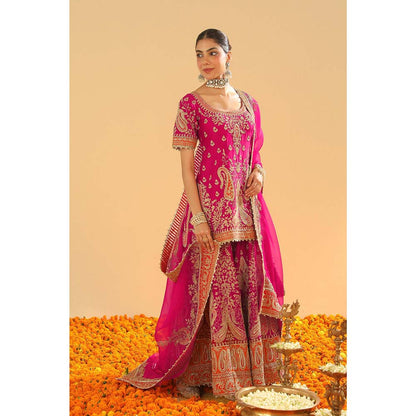Sheetal Batra Pink Kurti with Sharara and Dupatta (Set of 3)